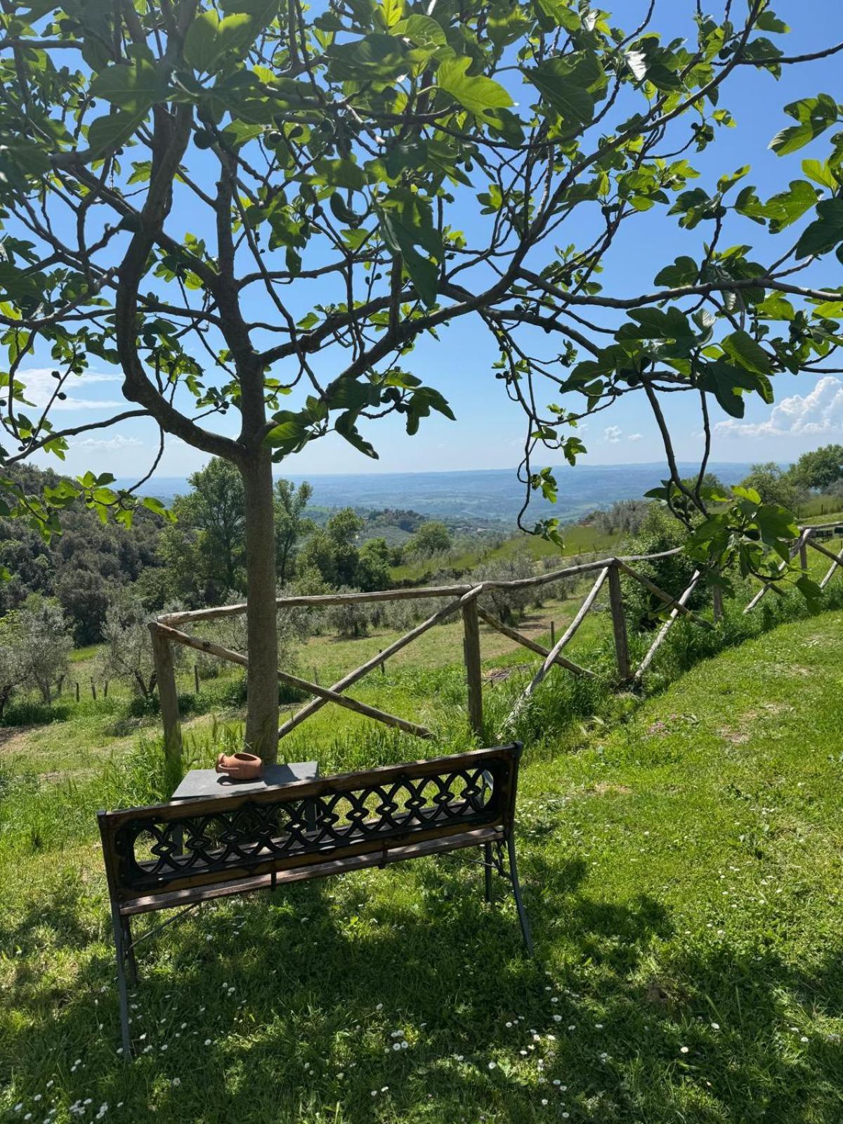 Casa Franceschini Villa Poggio Mirteto Bagian luar foto